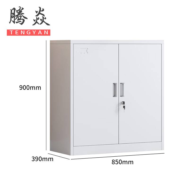 腾焱办公柜两门台高清大图