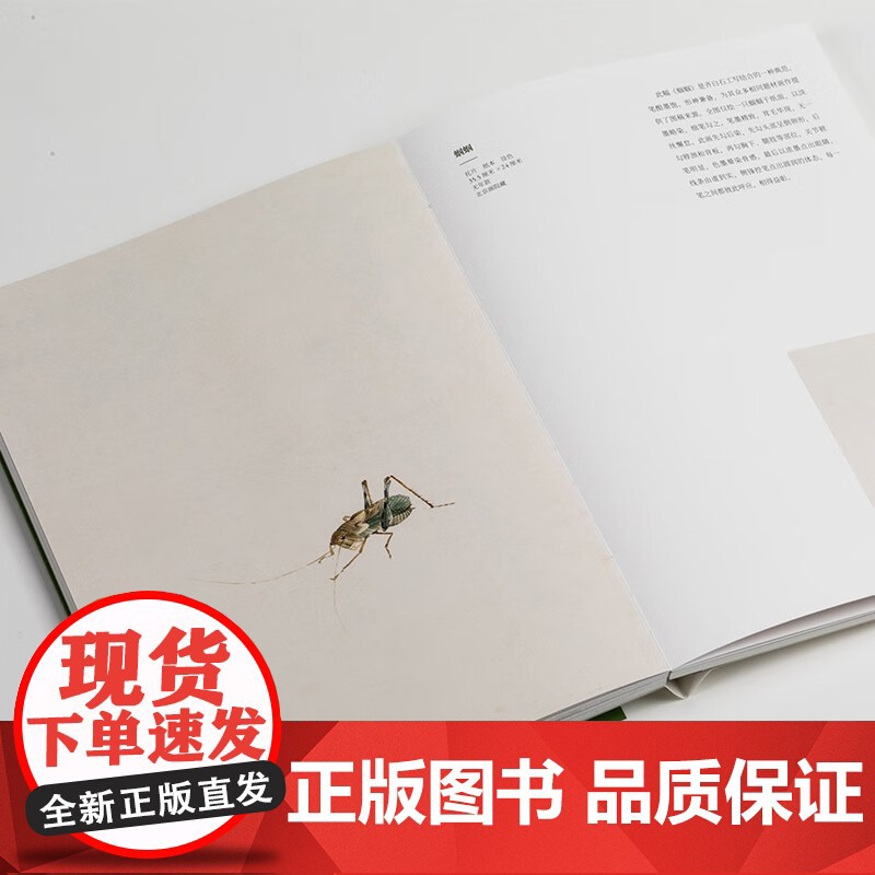 情有梦通 齐白石笔下的四季生机 中国大运河博物馆 编著 绘画高清大图