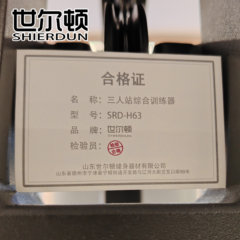 世尔顿(SHIERDUN) 综合训练器三人站 SRD-H63 台高清大图