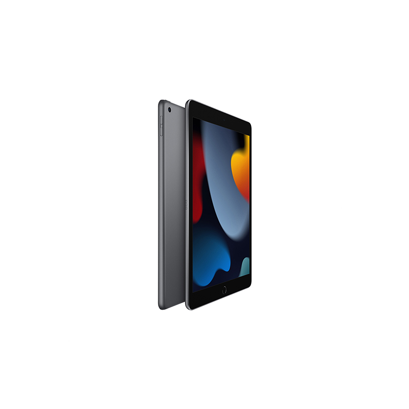 2021新款 Apple iPad 9代 10.2英寸256G 平板电脑深空灰色 全新WLAN版 官方全新国行正品