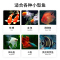 鱼食小颗粒锦鲤金鱼饲料观赏鱼通用鱼粮南极磷虾上浮型鱼料小型鱼
