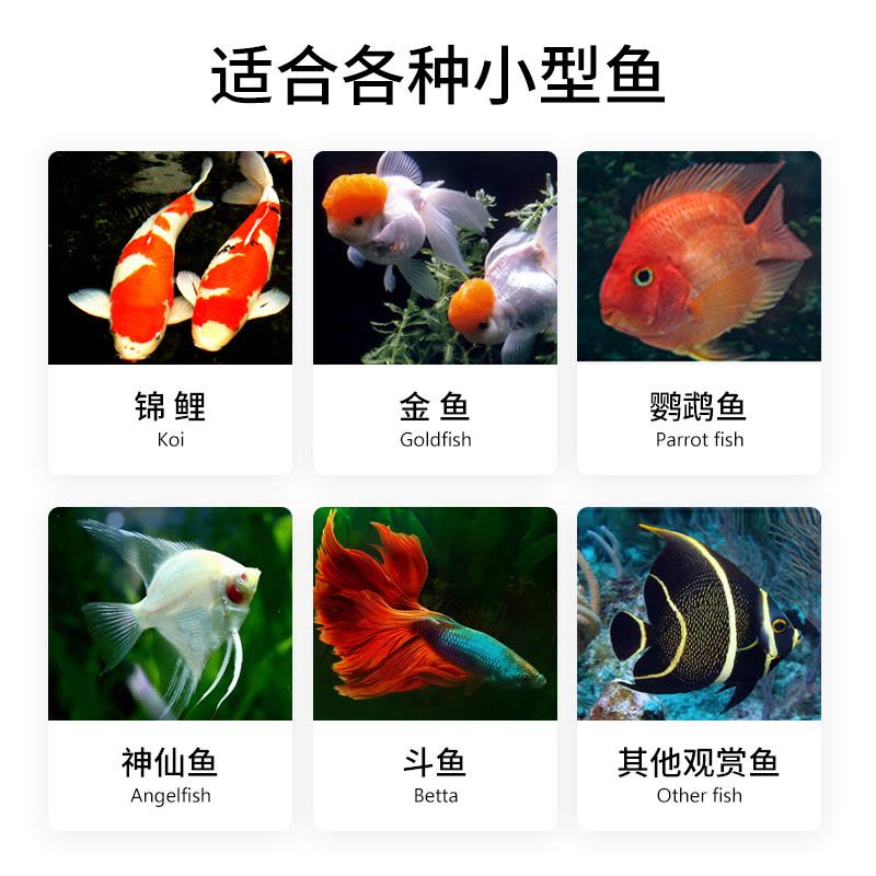 鱼食小颗粒锦鲤金鱼饲料观赏鱼通用鱼粮南极磷虾上浮型鱼料小型鱼图片