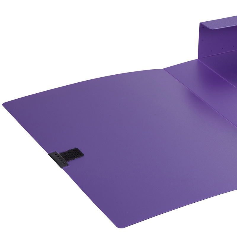 齐心(COMIX)MC-55 A4 美石PP档案盒 55MM(珠紫) 一个价格18个起订高清大图