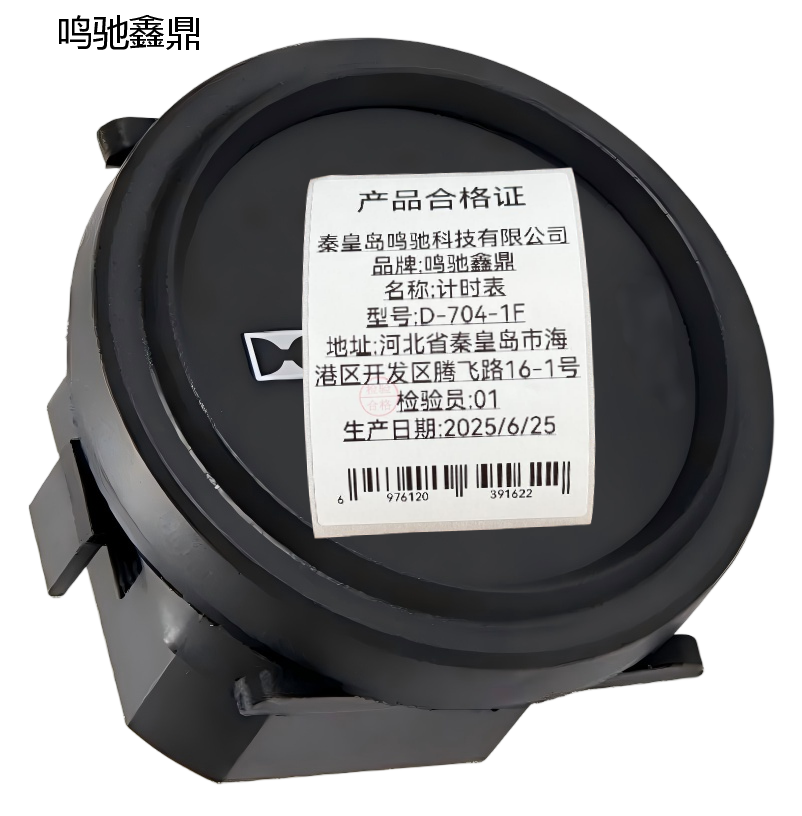 鸣驰鑫鼎 计时表 D-704-1F 个高清大图