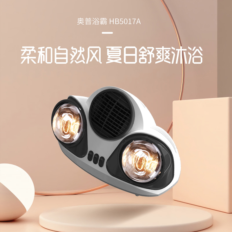 奥普(AUPU) FB305G 灯暖型 壁挂浴霸 浴室取暖灯便携安装灯暖浴霸卫生间取暖高清大图
