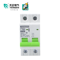 天正电气瑞彩系列TGHH-125 空气开关 2P 125A 336011200009 微型断路器