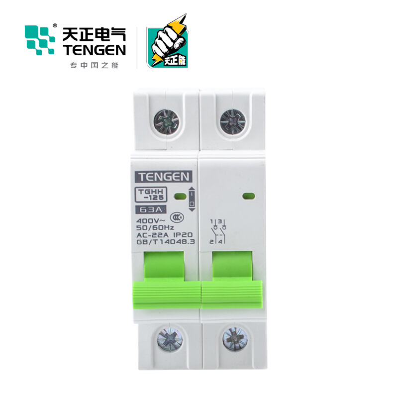 天正电气瑞彩系列TGHH-125 空气开关 2P 125A 336011200009 微型断路器