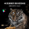 腾讯极光盒子3Pro 8K高清电视网络机顶盒 4+32G存储 千兆网口 双频3天线wifi 云游戏 网络播放机