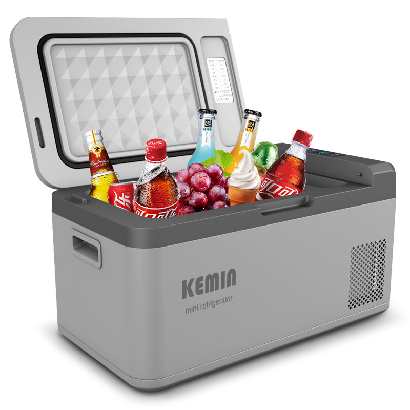 冰箱迷你型冷冻车家两用制冷宿舍化妆品冷藏 12v-24v车载型/220v家用