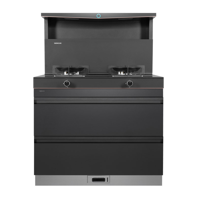 森歌(SENG)集成灶L1 消毒柜款 二星级消毒外观美 大容量 一体式吸烟机燃气灶具 抽油烟机燃气灶灰色液化气高清大图