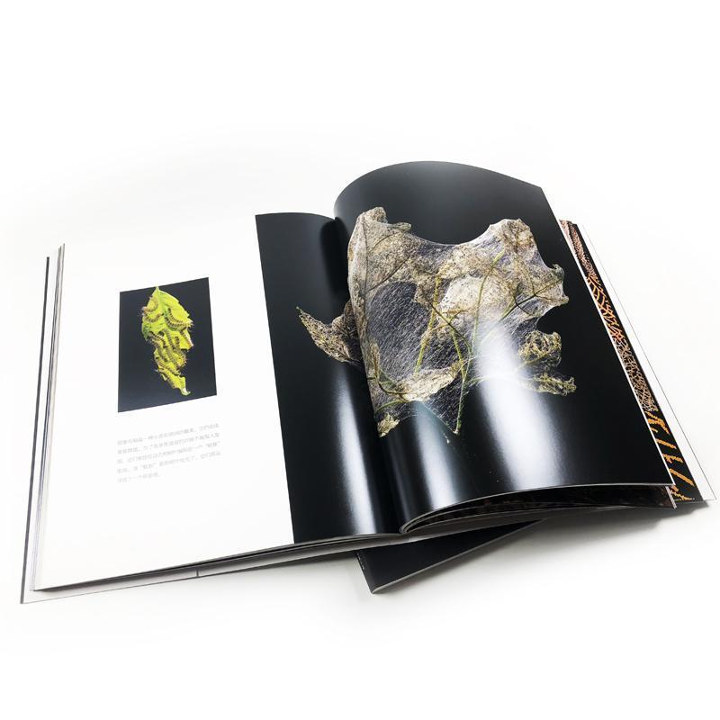 [醉染正版]动物界的建筑师 平装 国家地理BBC野生动物摄影师英格阿恩特展示动物奇妙筑巢艺术 动物摄影集 生物常识动物故高清大图