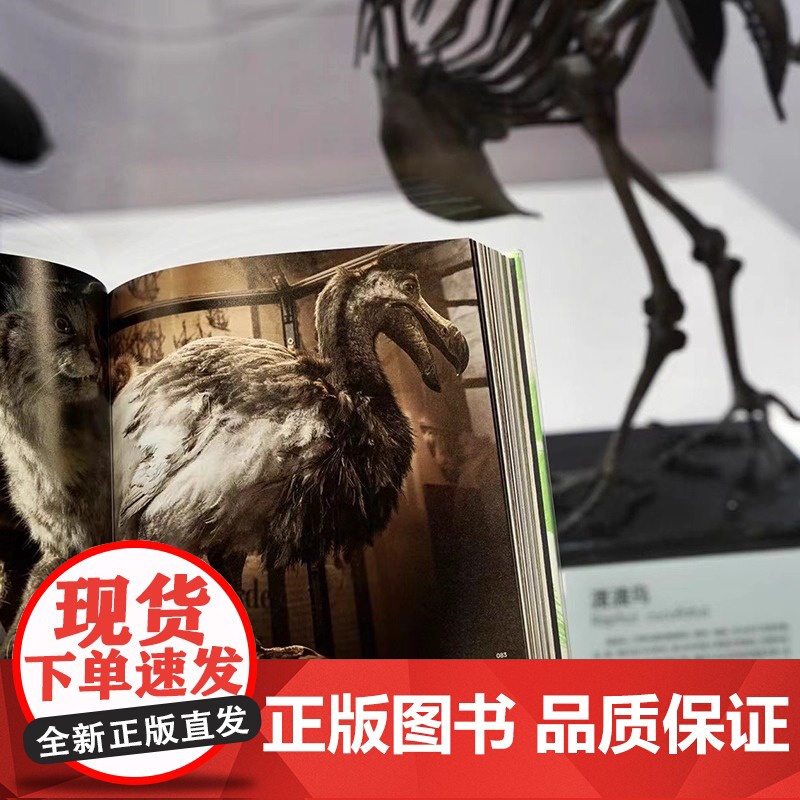 看得见的自然史 法国国家自然博物馆出品 赠藏书票便签本 影像版自然史 约200件非凡藏品 博物学收藏艺术画册国家地理高清大图