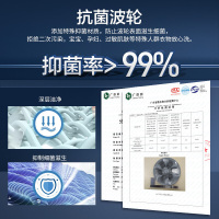 威力(WEILI)10公斤DD直驱变频波轮洗衣机全自动 家用大容量玻璃盖阻尼 一级能效自判水位XQB100-2079D