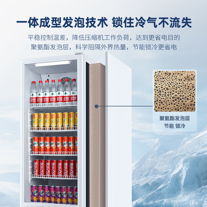 澳柯玛SC-229SNEB冷藏展示柜保鲜柜饮料冰箱水果凉菜酒水风蔬菜商用无霜高清大图