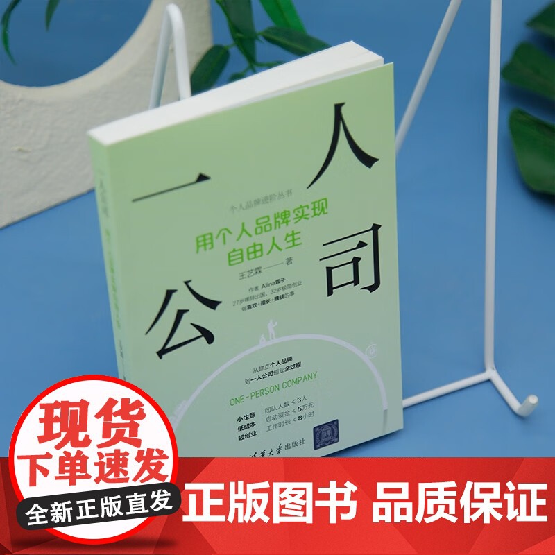 一人公司 用个人品牌实现自由人生 王艺霖 著 管理高清大图