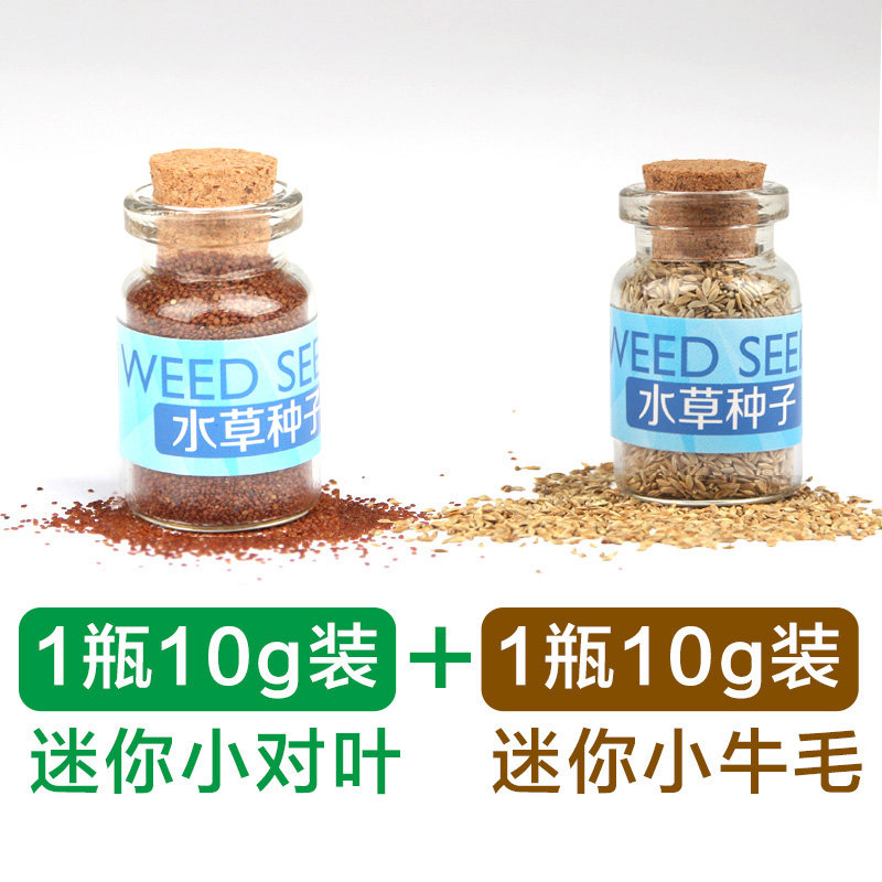 鱼缸水种籽不用泥的水种子牛毛毡珍珠水造景懒人水植物 迷你矮小对叶+迷你小牛毛（10g装各1瓶） 默认尺寸