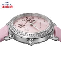 海鸥表(SEAGULL)海鸥手表时尚潮流镂空钻点女表自动 机械表 休闲女表6029LK