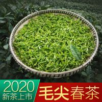 茶叶2020新绿茶浓香耐泡信阳春茶毛尖250克