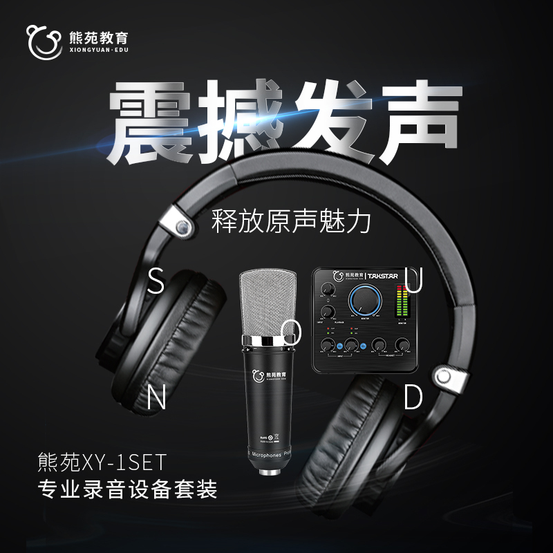 [顺丰速运 一键配齐]得胜+熊苑XY-1SET专业录音套装有声书录制直播铝合金防潮防震箱