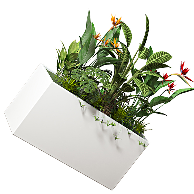 汐种植花箱30cm个高清大图