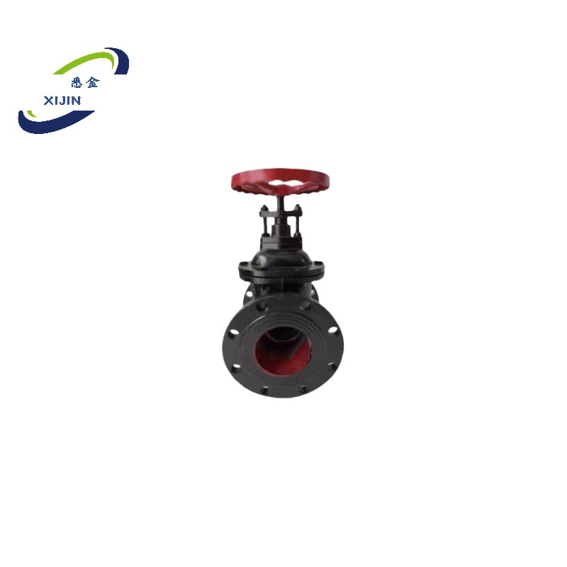 悉金 闸板阀 XJ - DN50 个高清大图