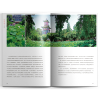 [正版]遇见成都这座城 藏羚羊旅行指南编辑部 国内城市自助旅游指南攻略书 小资生活旅游宝典 旅游文化读物 北京出版社