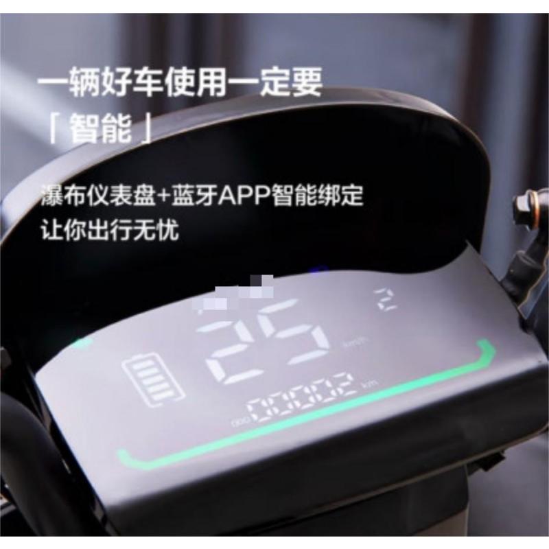 北向望星 电动摩托车 大电池高功率