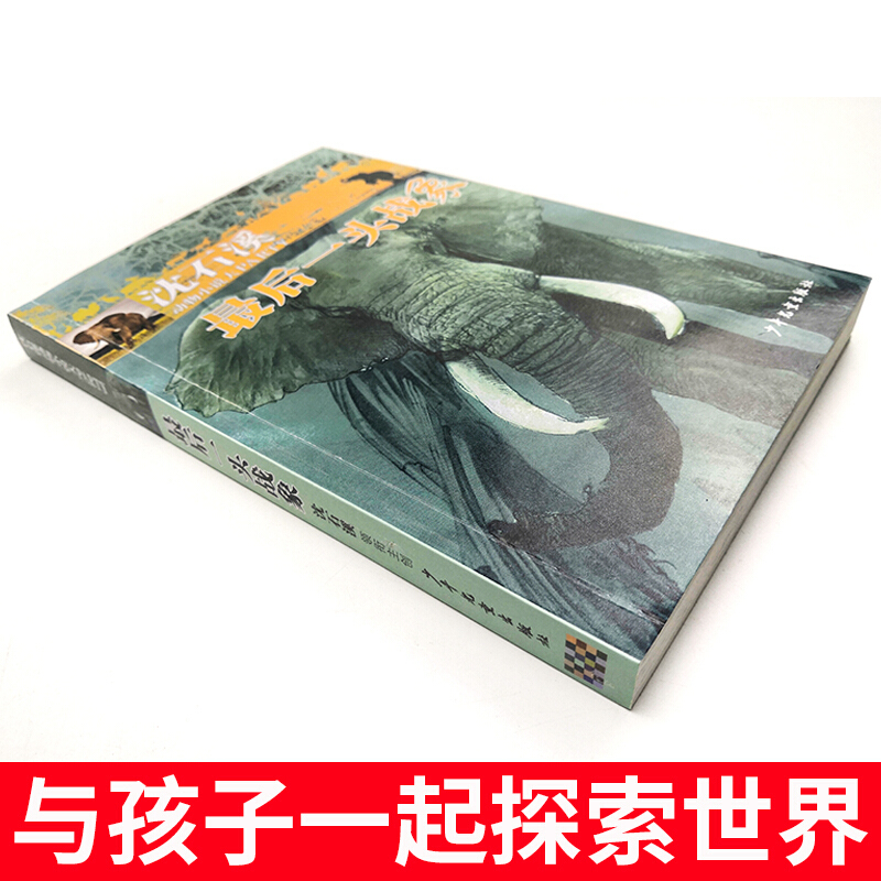 后一头战象沈石溪动物小说单本沈石溪的书正版少年儿童出版社儿童文学儿童书籍四五六年级必读课外书