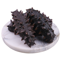 海洋岛 大连野生海参 盐渍辽参 拉缸盐半干海刺参礼盒16-20头500g