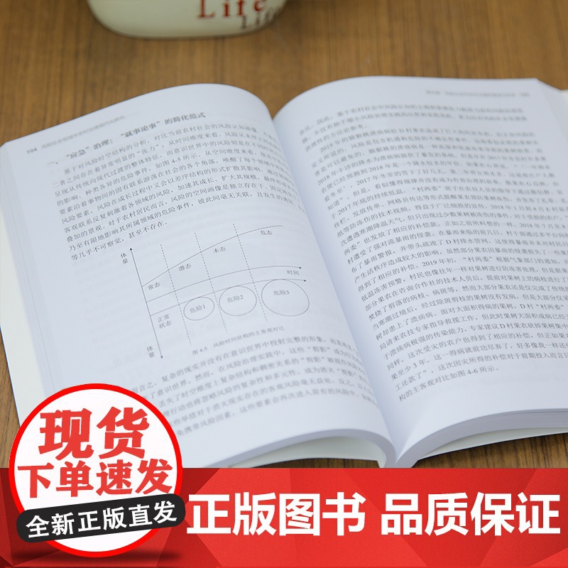 正版新书 风险社会视域中农村治理现代化研究 王进 徐天舒 清华大学出版社 农村治理高清大图