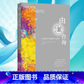 【正版】由心咨询 心理中的超个人范式 世图心理比利时心理大师米杉经典之作新手心理咨询师成长书心理学入门书SJT理图咨