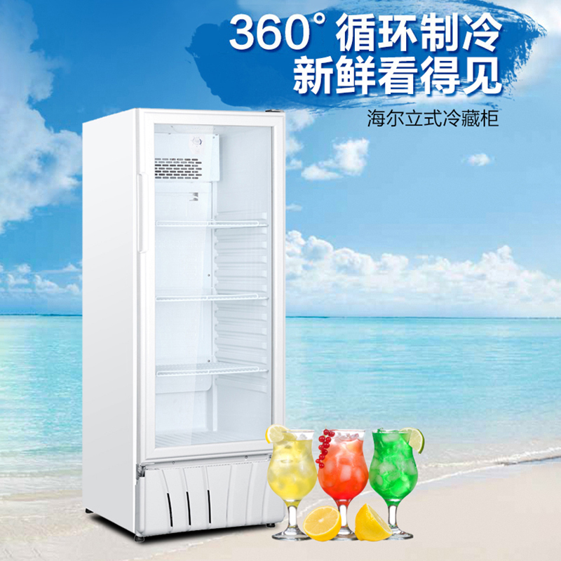 海尔(Haier) 展示柜 290升 单冷藏冰柜保鲜商用冷柜 SC-312 (江浙沪一件代发)