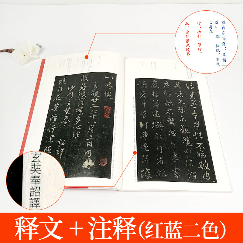 [醉染正版]王羲之王献之传本墨迹 中国碑帖名品25 二十五译文注释繁体旁注 毛笔字帖书法临摹 快雪时晴帖姨母帖初月帖寒切高清大图