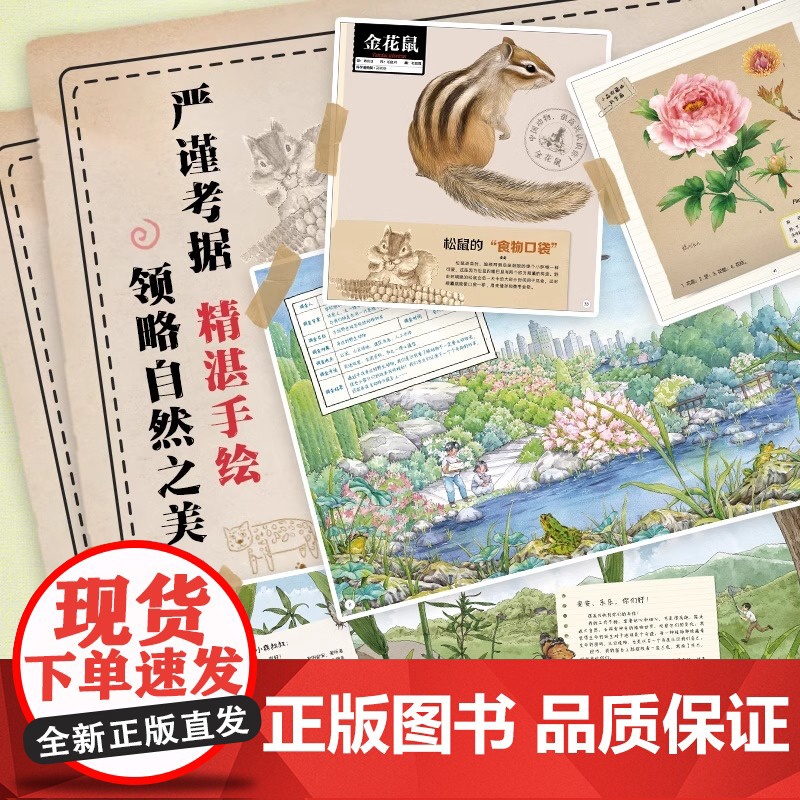 [央视网]中国植物中国动物很高兴认识你全8册 儿童自然百科全书通识绘本5-12岁小学生科普启蒙读物四季的变化绘本故事书籍高清大图