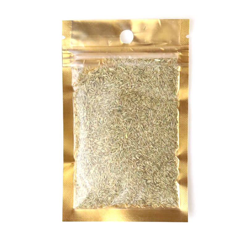 鱼缸装饰水 前景造景 迷你真水小对叶皮牛毛毡高清大图