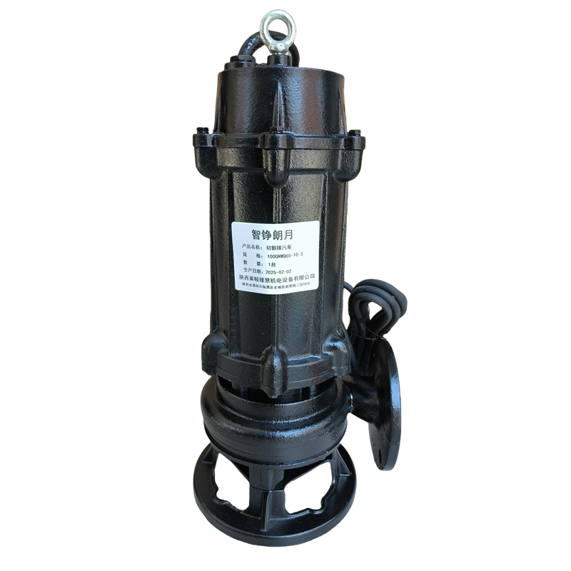 智铮朗月 切割排污泵 100GNWQ65-10-3 台高清大图
