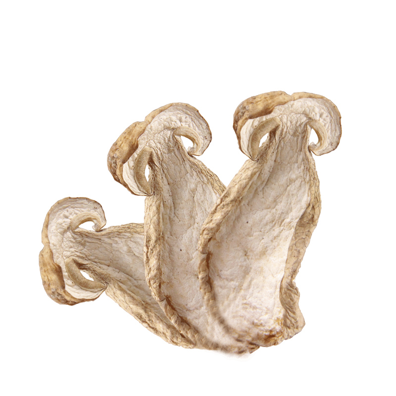 秦川印象 野生牛肝菌100g/罐高清大图