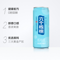 W养元六个核桃 精益型六个核桃核桃乳240ml*20整箱装 新老包装交替发货