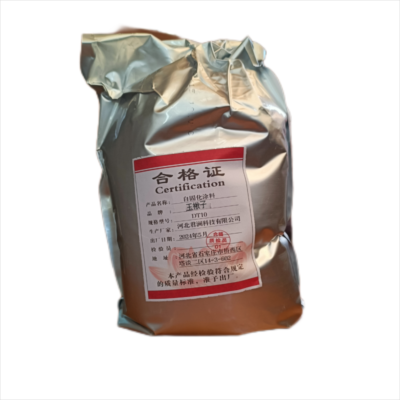 燕赵君澜自固化涂料DT10/kg高清大图