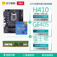 七彩虹H410M-T PRO V20主板+G6405 CPU+金士顿KVR 2666 8G内存