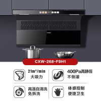 法迪欧吸油烟机CXW-268-F9H1