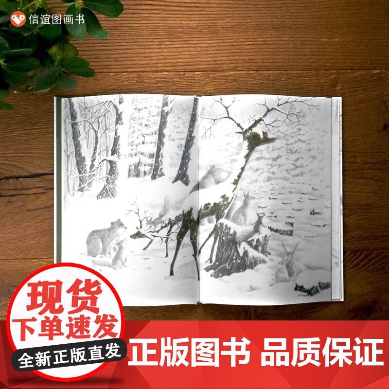 雪鹿硬壳精装适合3-6岁绘本幼儿园小学阅读本亲子阅读早教启蒙图画书自然保护晚安故事书经典书籍人与自然相处信谊正版高清大图