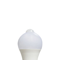 CHAJS H0212 LED红外感应球泡 12W 65*125mm