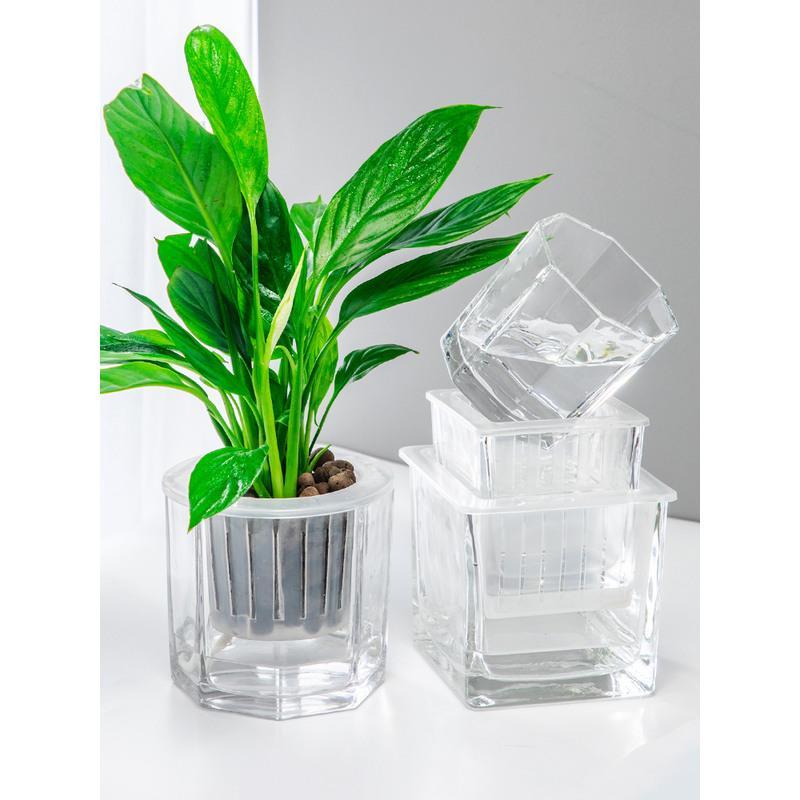 透明水培玻璃器皿大号植物玻璃花盆绿萝方形花瓶客厅水养方钢器皿feng