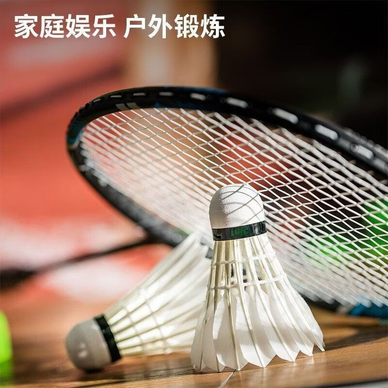 得力deli羽毛球耐打娱乐鹅毛只装稳定防风12比赛训练专用 3只装 1筒 [飞行稳定]F2200羽毛球高清大图