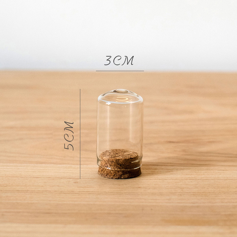 家柏饰(CORATED)软木塞玻璃罩 装饰摆件微景观干花标本公仔玩偶瓶DIY G(10cmX16cm)高清大图