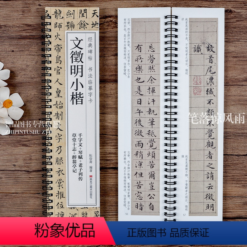 [正版]文徵明小楷千字文琴赋老子列传草堂十志醉翁亭记 经典碑帖书法临摹字卡 原大墨迹本楷书毛笔书法字帖附简繁对照释文