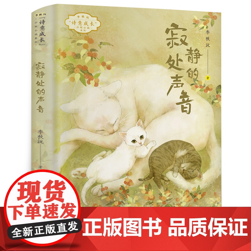 六年级暑假阅读寂静处的声音小学生课外阅读书籍李秋沅著正版祖庆说百班千人暑假 阅读图书6年级心灵成长之书每日一篇暑假阅读