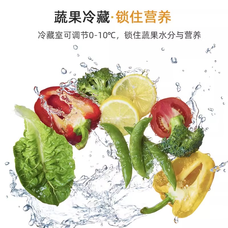 志高冰箱双开门家用小型一级能效双门大容量办公室出租房用电冰箱128L金属银玻璃搁架款双门双温高清大图