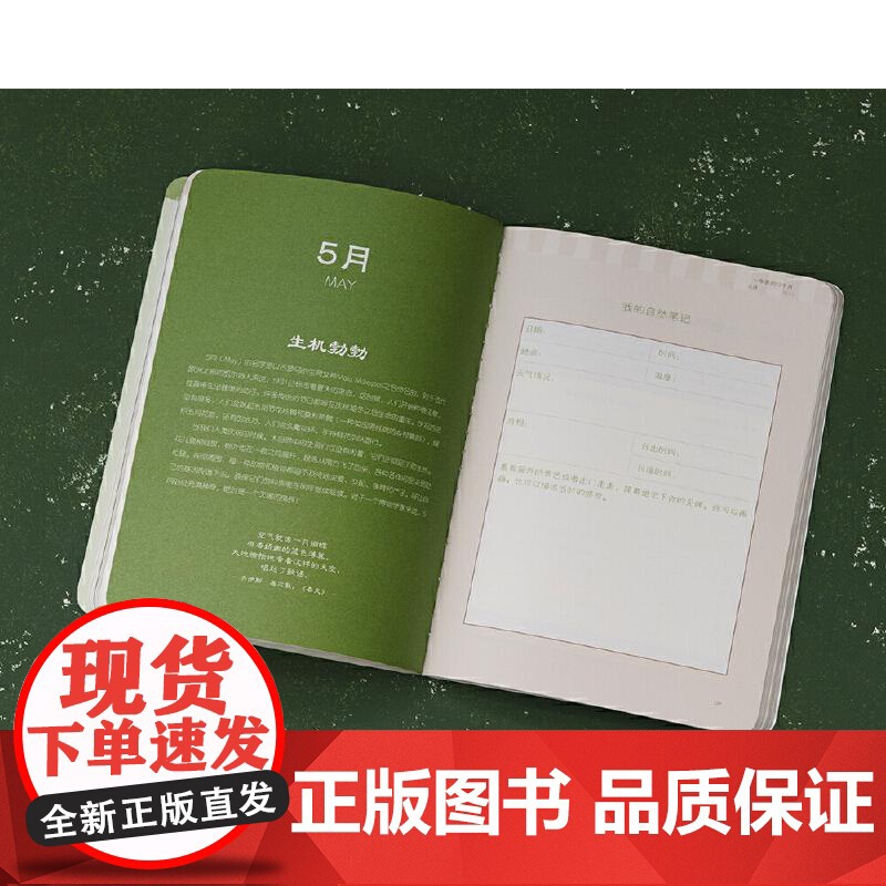 [央视网]我的自然笔记 笔记大自然亲子版 家长和宝宝一起开心的走近大自然 9787508640174 中信出版社 WX高清大图